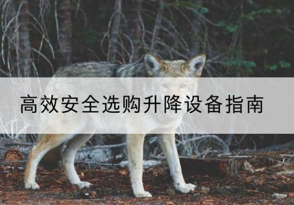 石首升降货梯厂家推荐-*安全选购升降设备指南