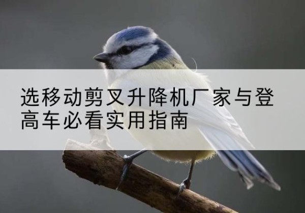 石首电动升降机厂家-选移动剪叉升降机厂家与登高车必看实用指南