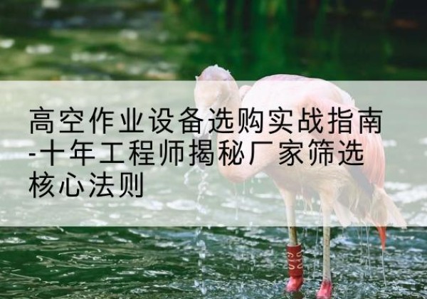 石首剪叉式升降机厂家-高空作业设备选购实战指南-十年工程师揭秘厂家筛选核心法则